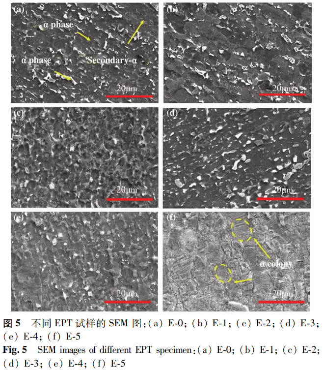 1765535903309893.png 截圖20251212183656.png